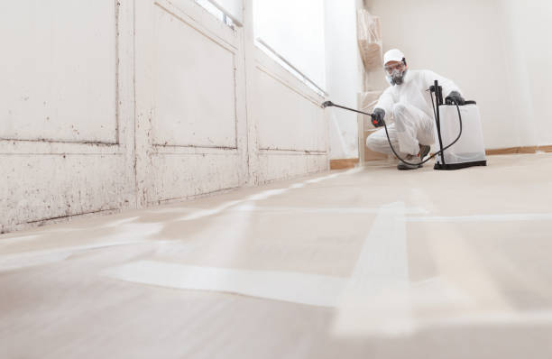 24/7 Emergency Commercial Mold Remediation experts in Lincroft, NJ
