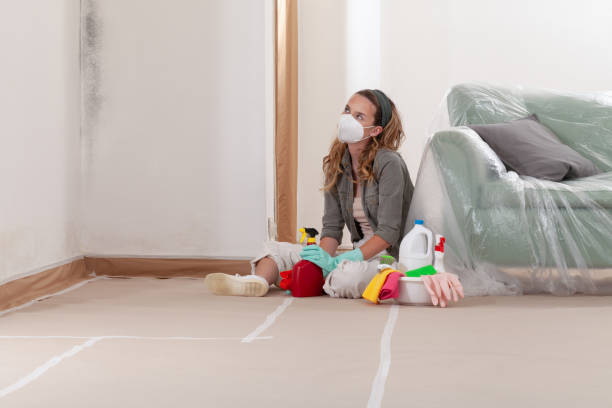 Reliable Mold Cleanup contractor in Lincroft, NJ by Cheap Mold Removal